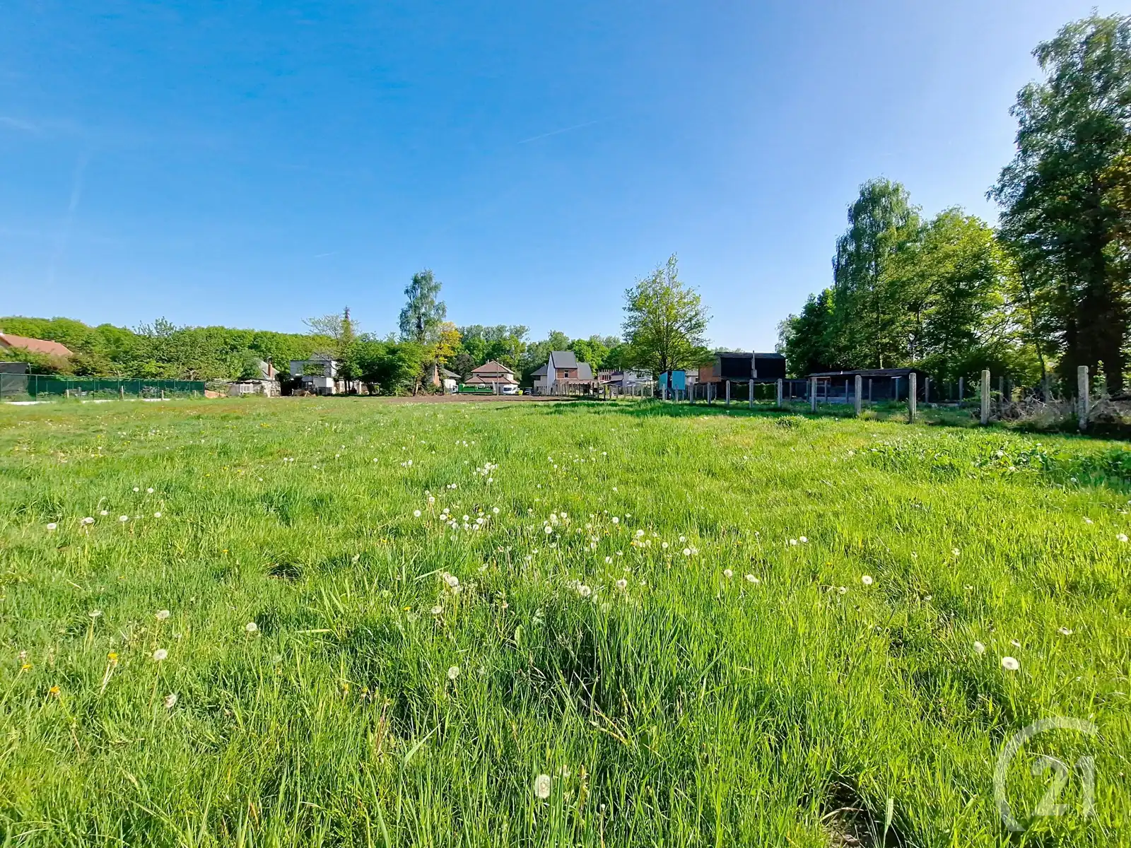 Bouwgrond te koop in Begijnendijk! foto 3