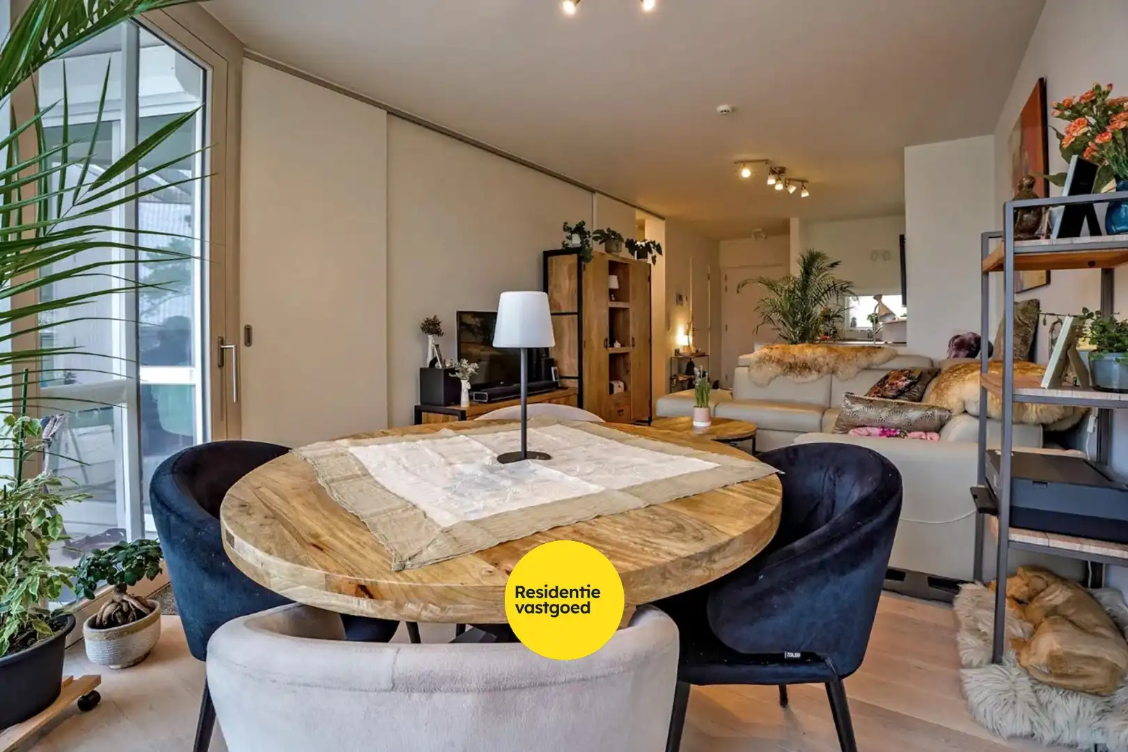 Prachtig 1-slaapkamerappartement met ruim terras (serviceflat) in Residentie Beukenhof, uniek wonen in de dorpskern van Oostduinkerke.  foto 6
