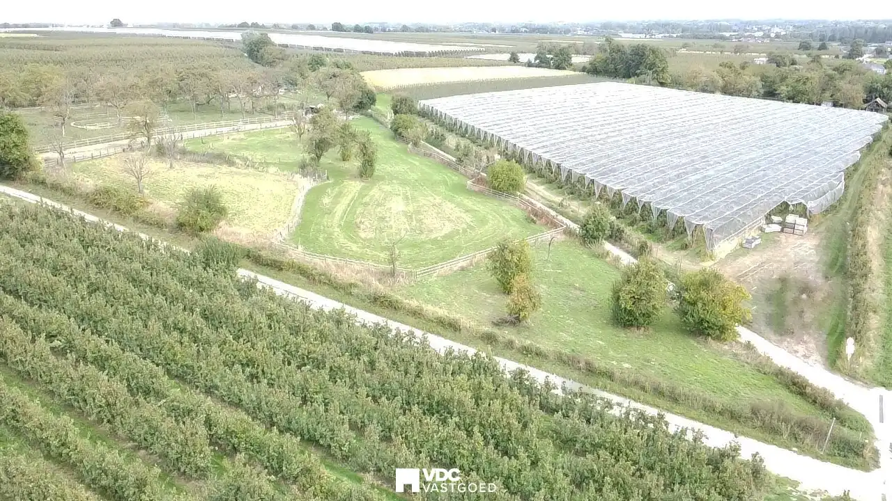 Uitgestrekte paardenweide van 68a 17ca – volledig omheind en klaar voor gebruik foto 2