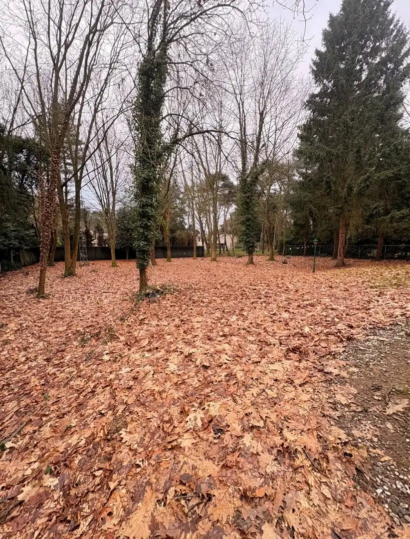 Uitzonderlijk ruime, vrijstaande woning met tuin te huur in Maasmechelen foto 17