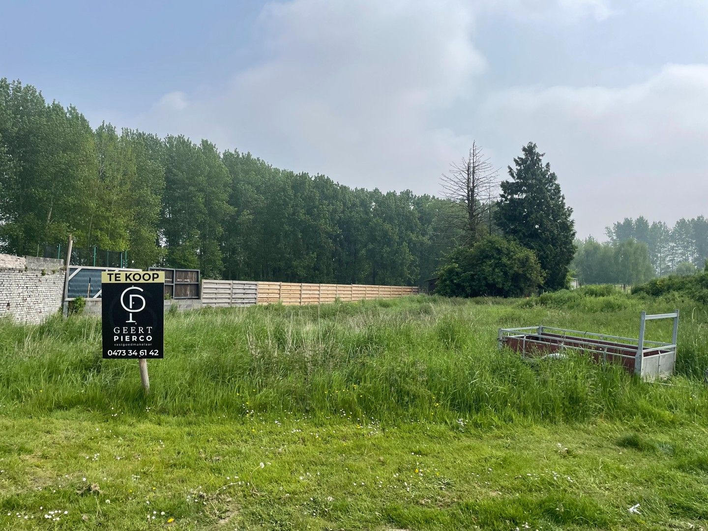 Bouwgrond voor open bebouwing – 6a 48ca in Gingelom foto 3