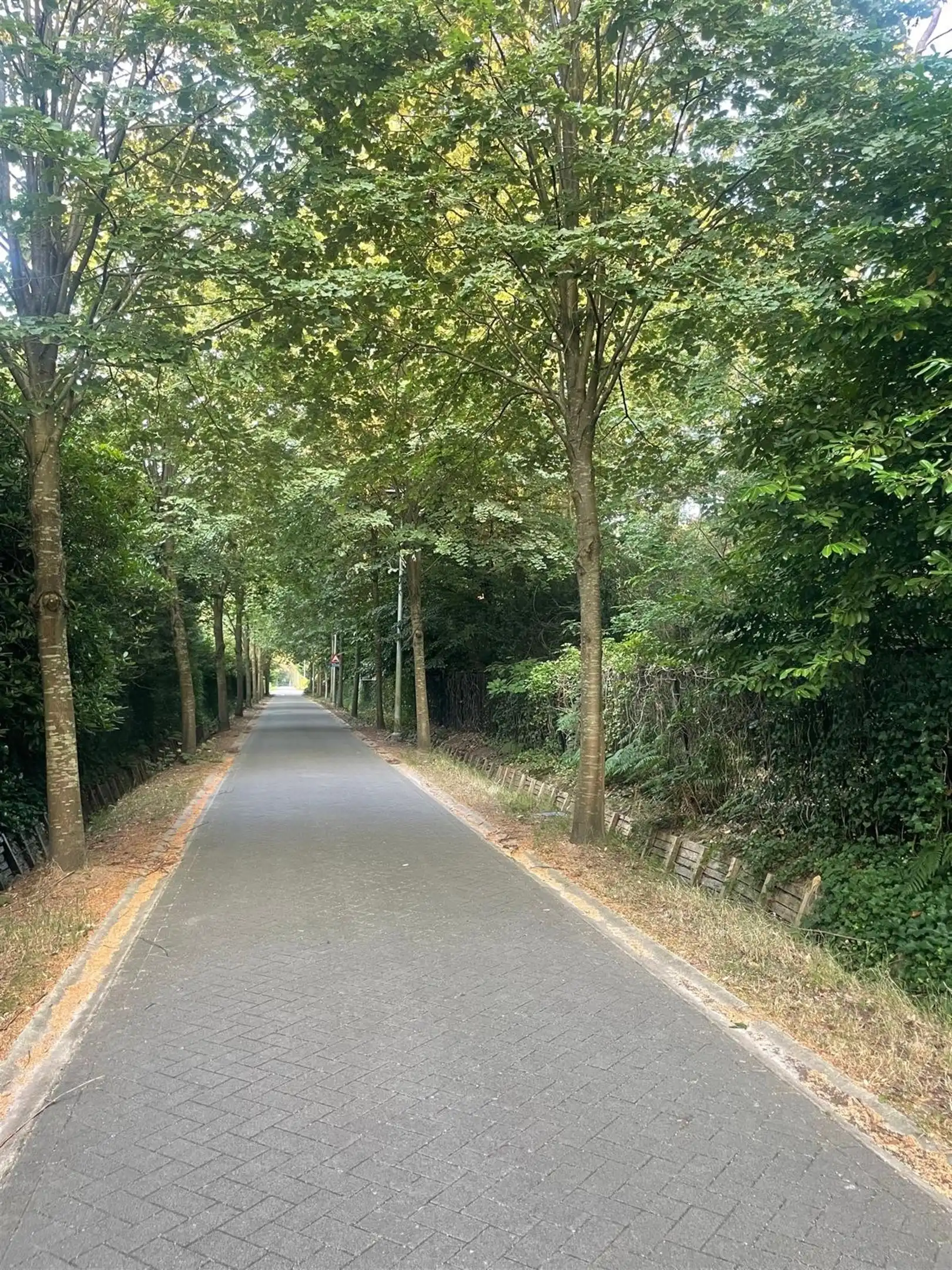 Exclusieve villagrond van ca. 3.099 m² op toplocatie in Schotenhof foto 11