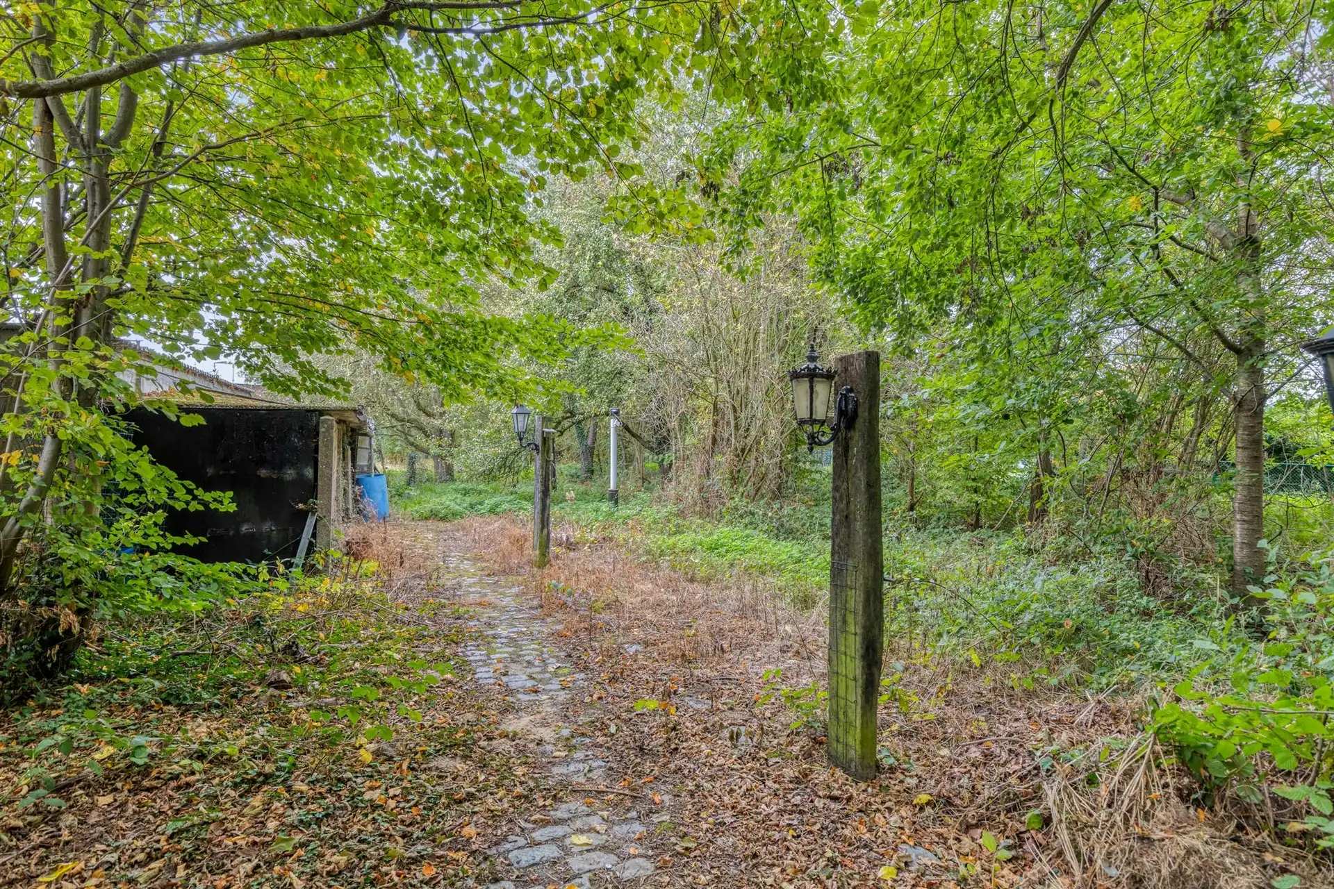 Open bebouwing op groot terrein! foto 20