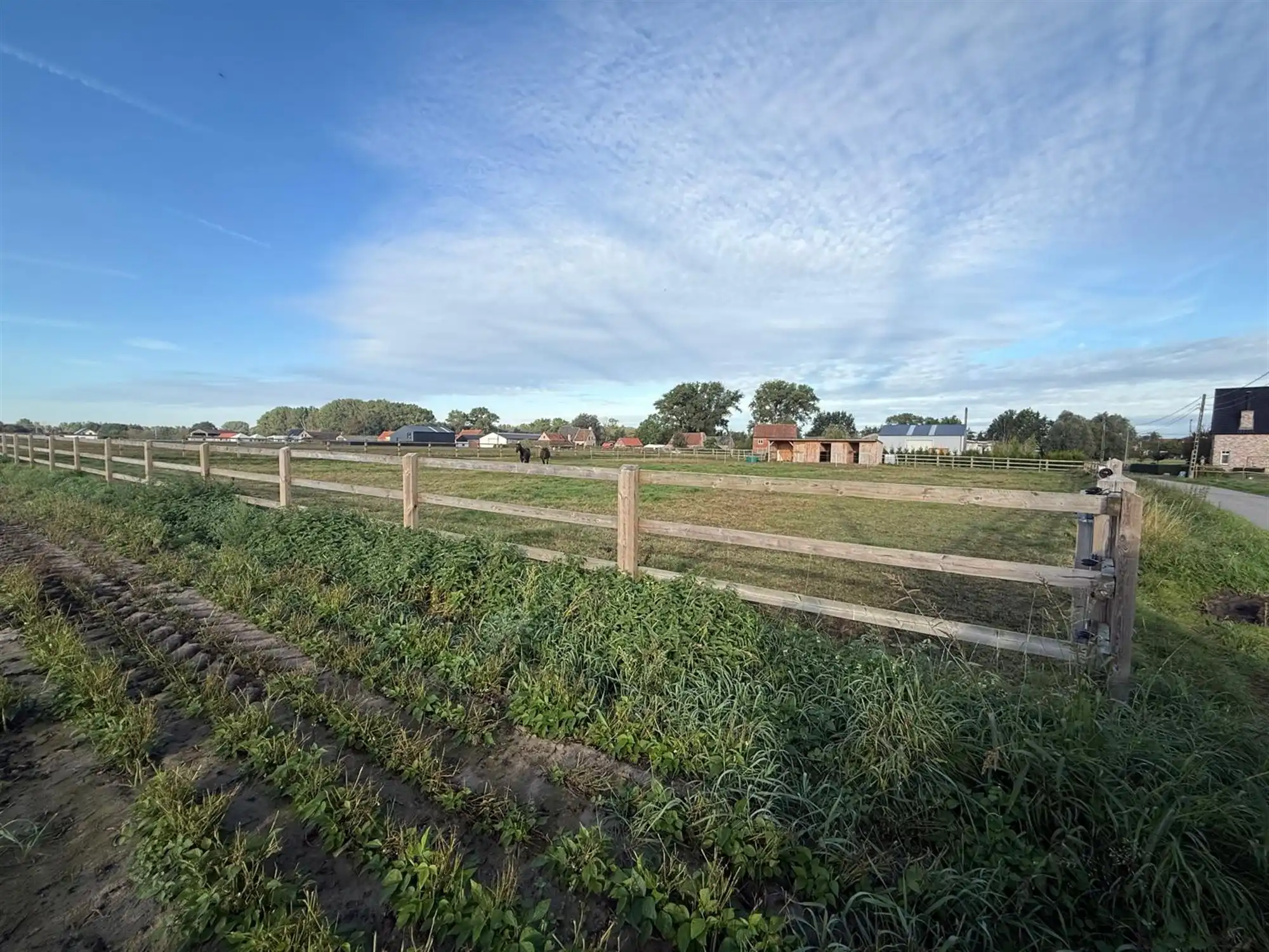Professioneel omheinde paardenweide met stallen te huur Deinze foto 7