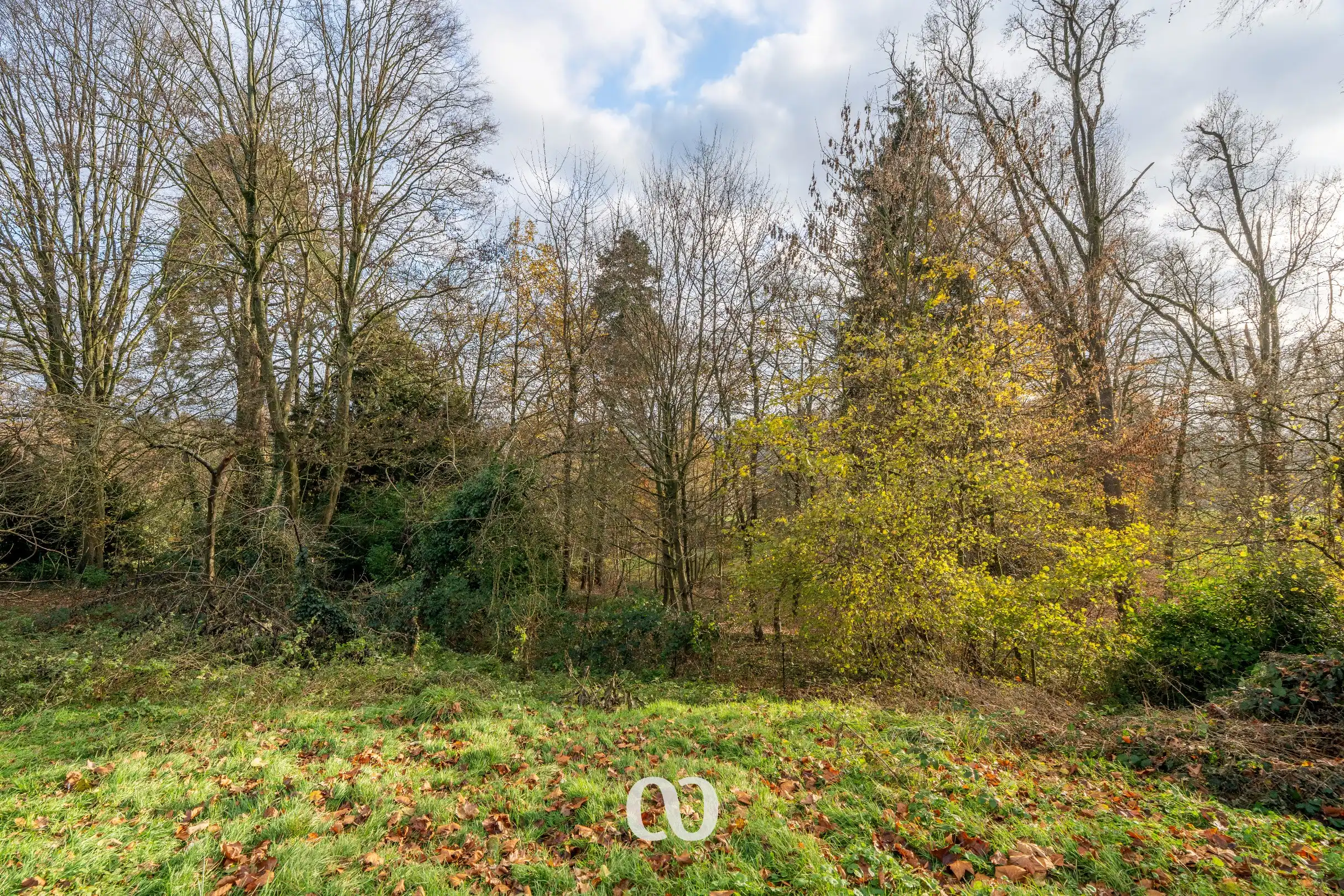 Te renoveren hoeve op sublieme ligging foto 7