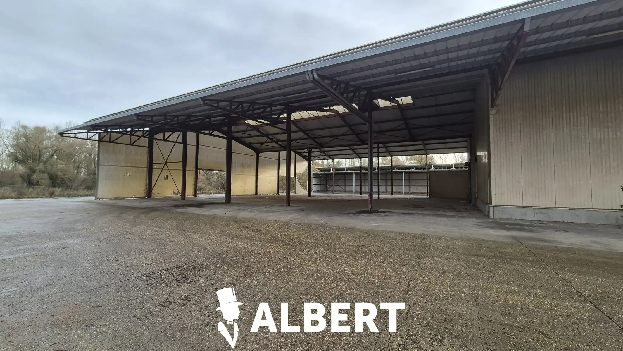 Unit 1 : gesloten en open loods foto 8