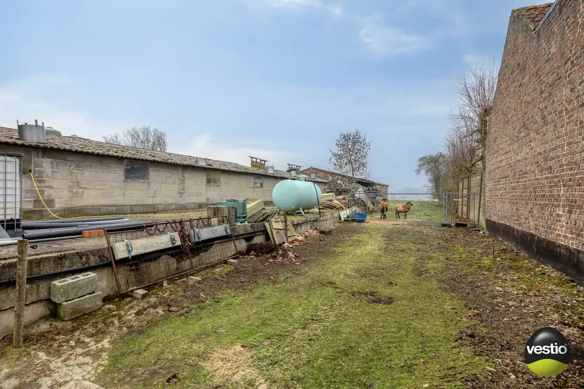 VIERKANTSHOEVE MET 4 BIJHORENDE VARKENSSTALLEN TE SINT-HUIBRECHTS-HERN op 65A79CA. foto 31