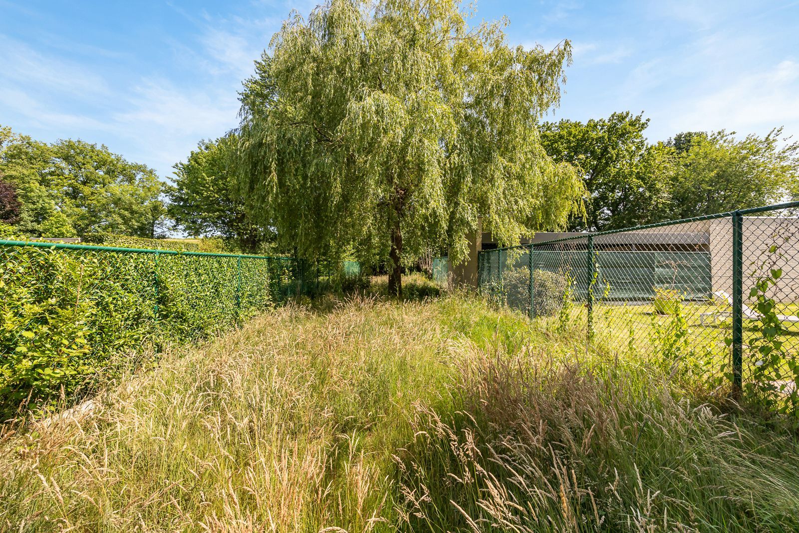 Te renoveren woning met potentieel in groene, rustige omgeving te Brasschaat! foto 17