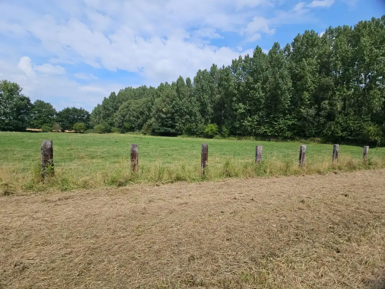 Prachtig gelegen, verder te vernieuwen landgebouw (omg. Congoberg) foto 17