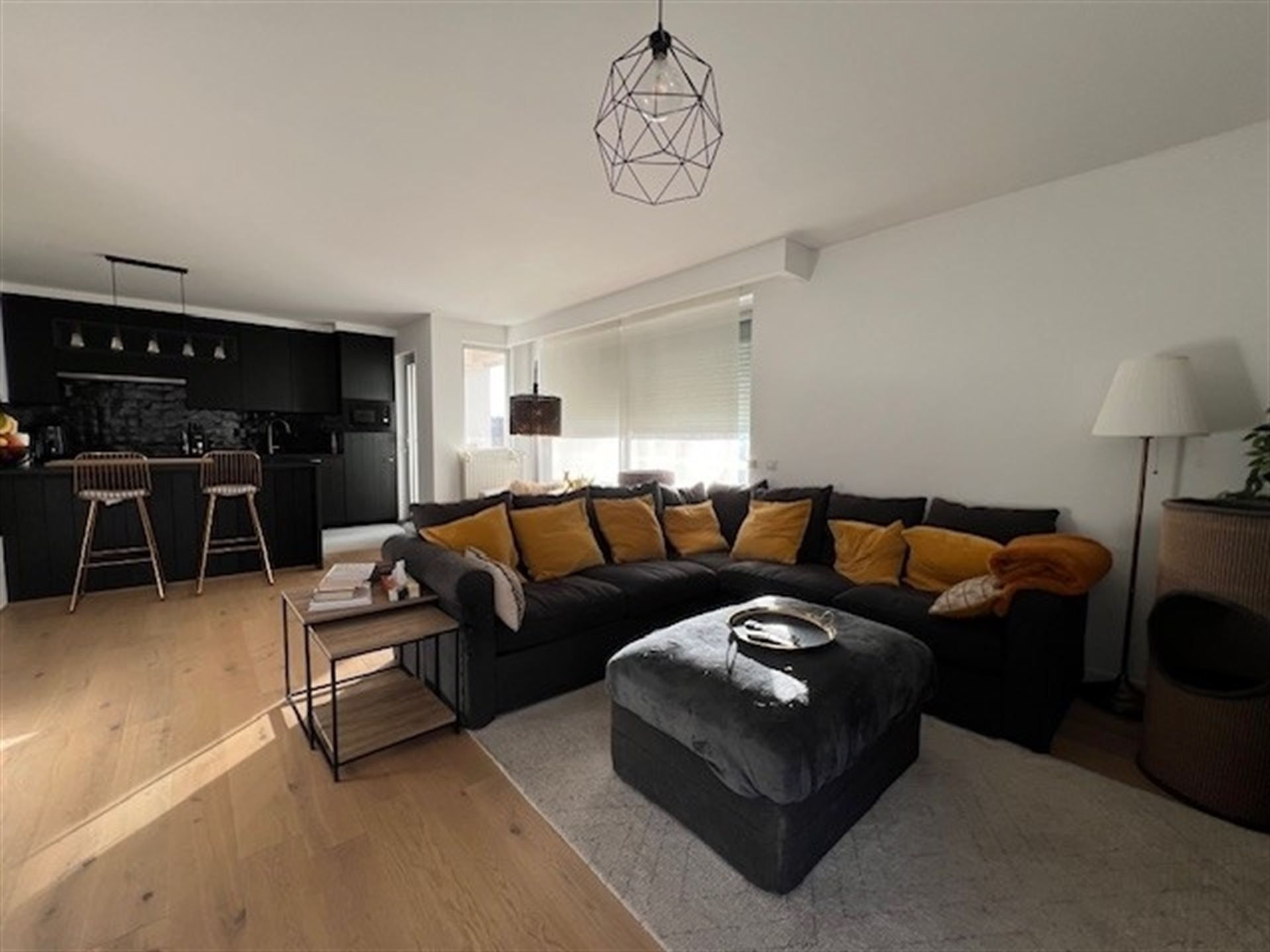 instapklaar appartement met garage ! foto 8