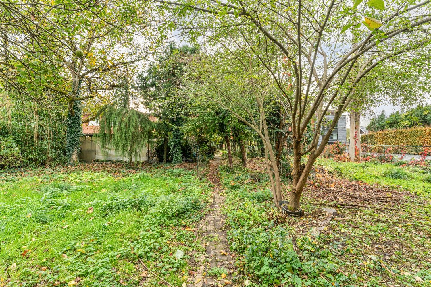 Halfopen bebouwing aan de rand van De Maten. foto 7