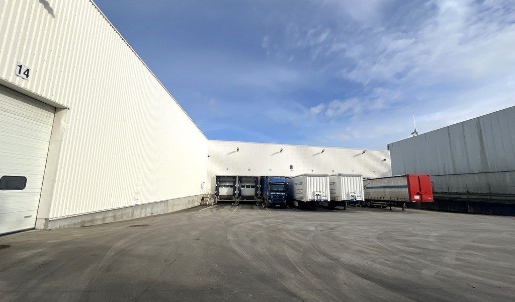 Industrieel terrein te huur Hoogveld 50 - A/U1c - 9200 Dendermonde