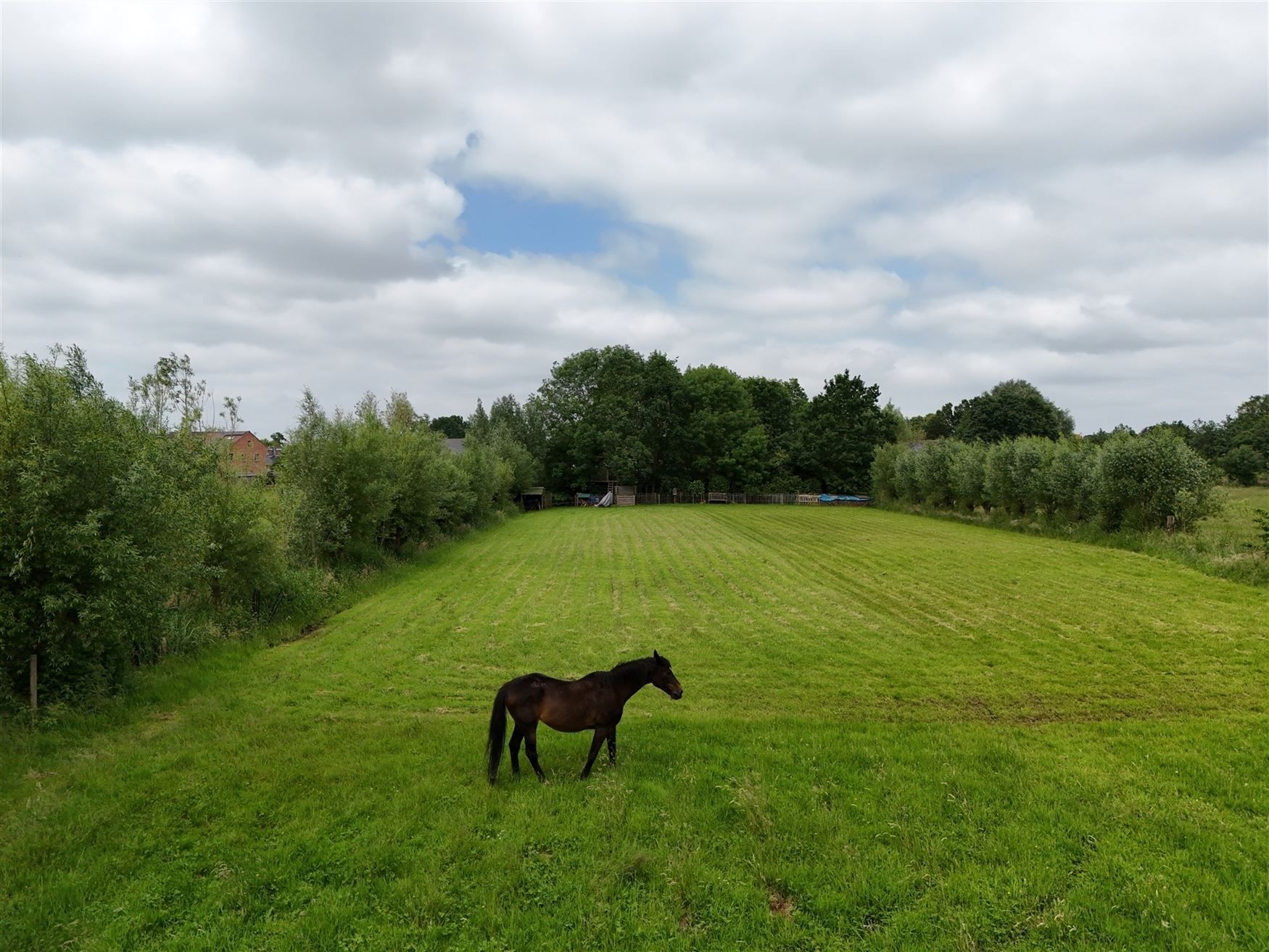 Mooie gezinsvilla met zonnige tuin en weide foto 3