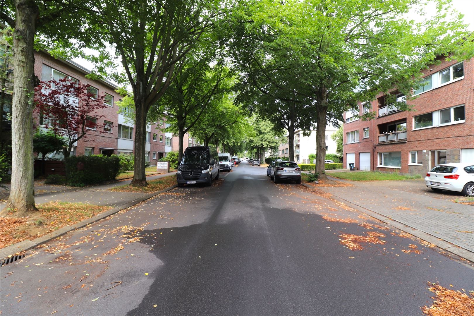 Modern gelijkvloers met groene tuin foto 19