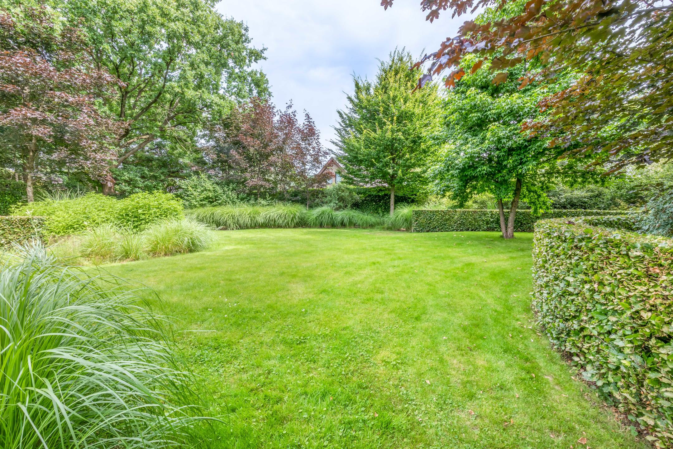 Prachtig perceel van 3348m2 met magnifieke tuin. foto 39
