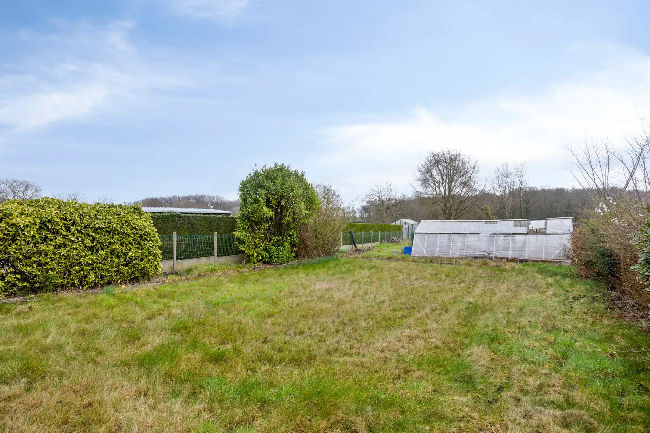 Landelijke woning op perceel van 20are foto 12