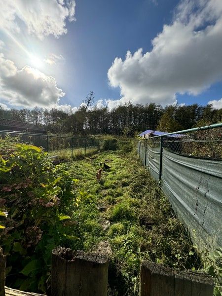 Gezellige woning met 2 slaapkamers en tuin. foto 42