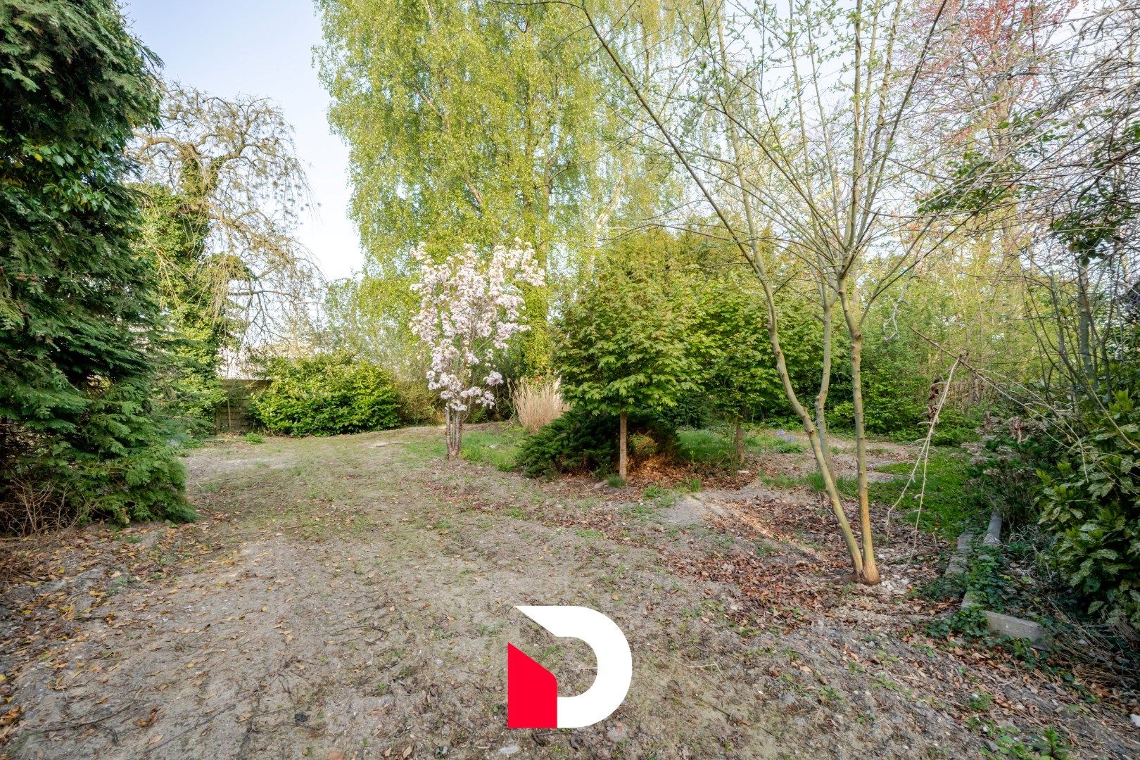 Uniek perceel van 6.448 m² met te renoveren woonst aan Merkenveld bos te Zedelgem  foto 7