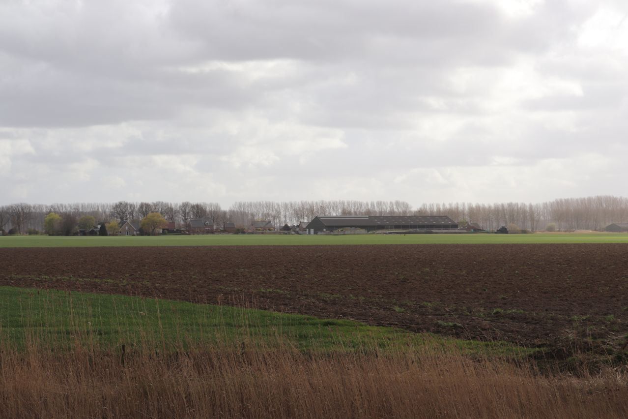 Hoeve geschikt voor hippische accomodatie te koop te Terneuzen foto 13