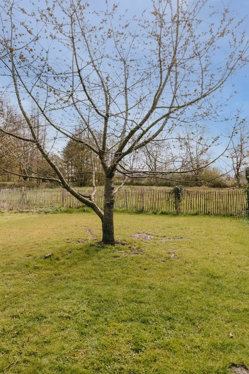 Energiezuinige, ruime gezinswoning met zuidgerichte tuin  foto 26