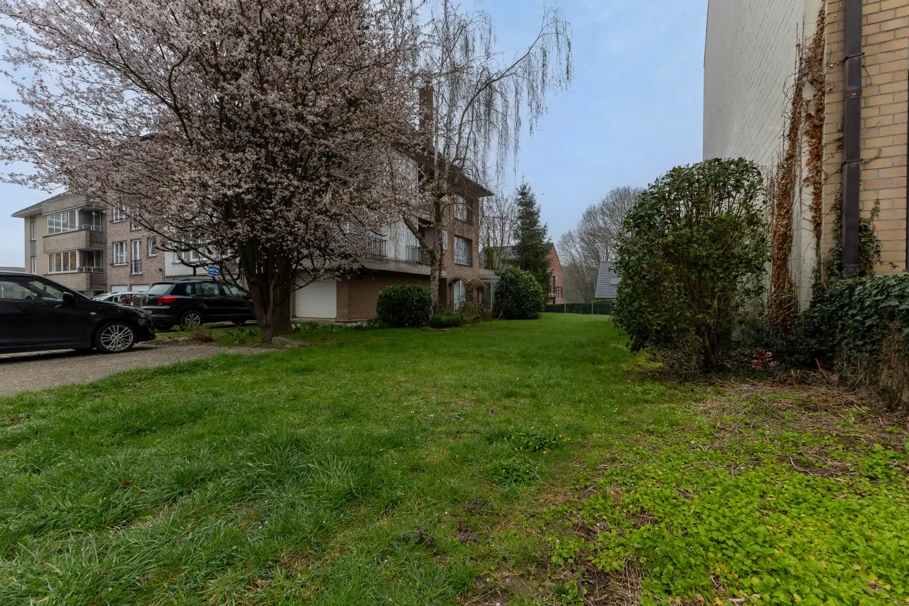 PROJECTGROND voor meergezinswoning foto 5