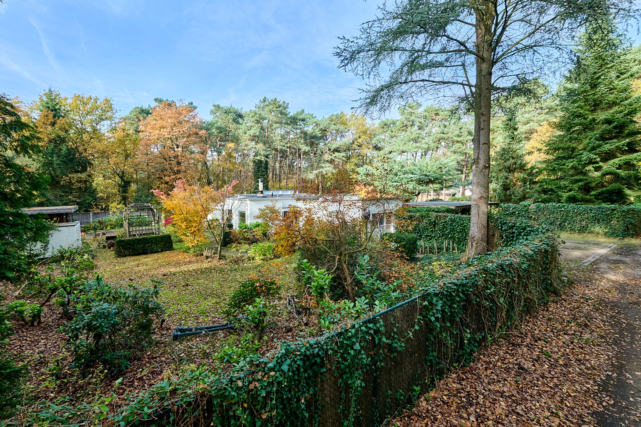 Verborgen villa op de Teut foto 16