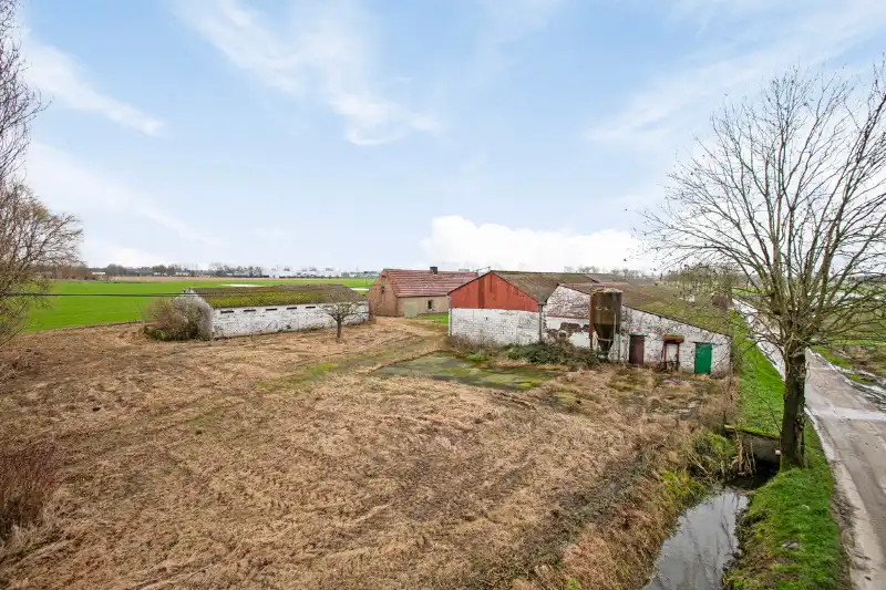 Uniek landelijk domein van ca. 10.000 m² met mogelijkheid tot nieuwbouw in Landegem foto 13
