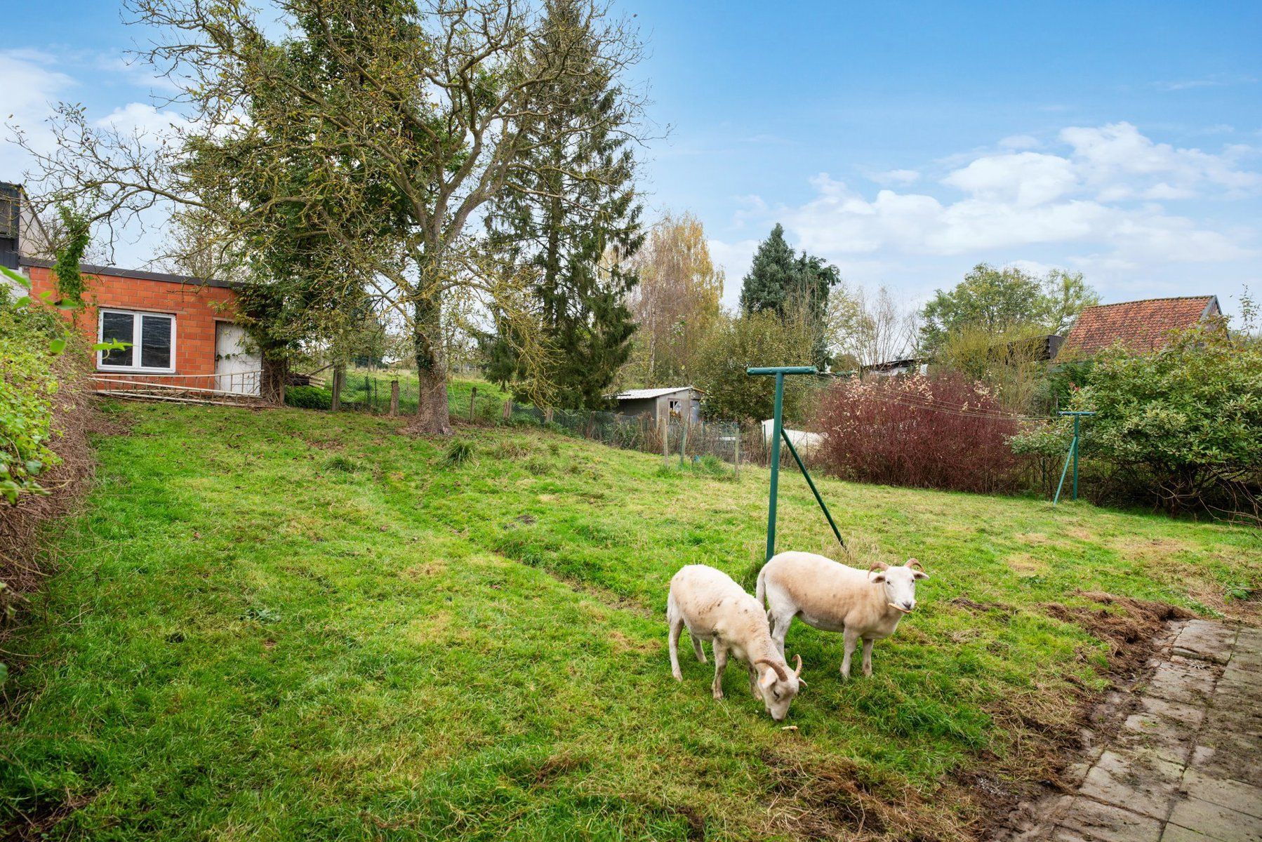 Te renoveren woning mét tuin aan de rand van het centrum foto 8