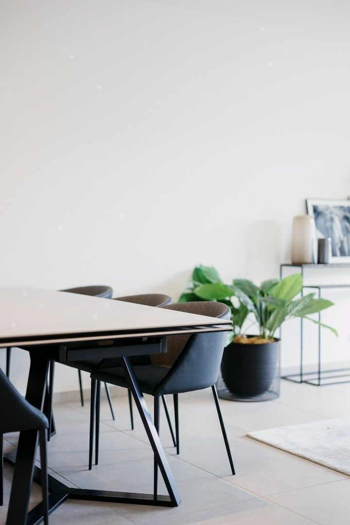 Wil je ook heerlijk wonen in het mooie, landelijke Tiegem ?  foto 19