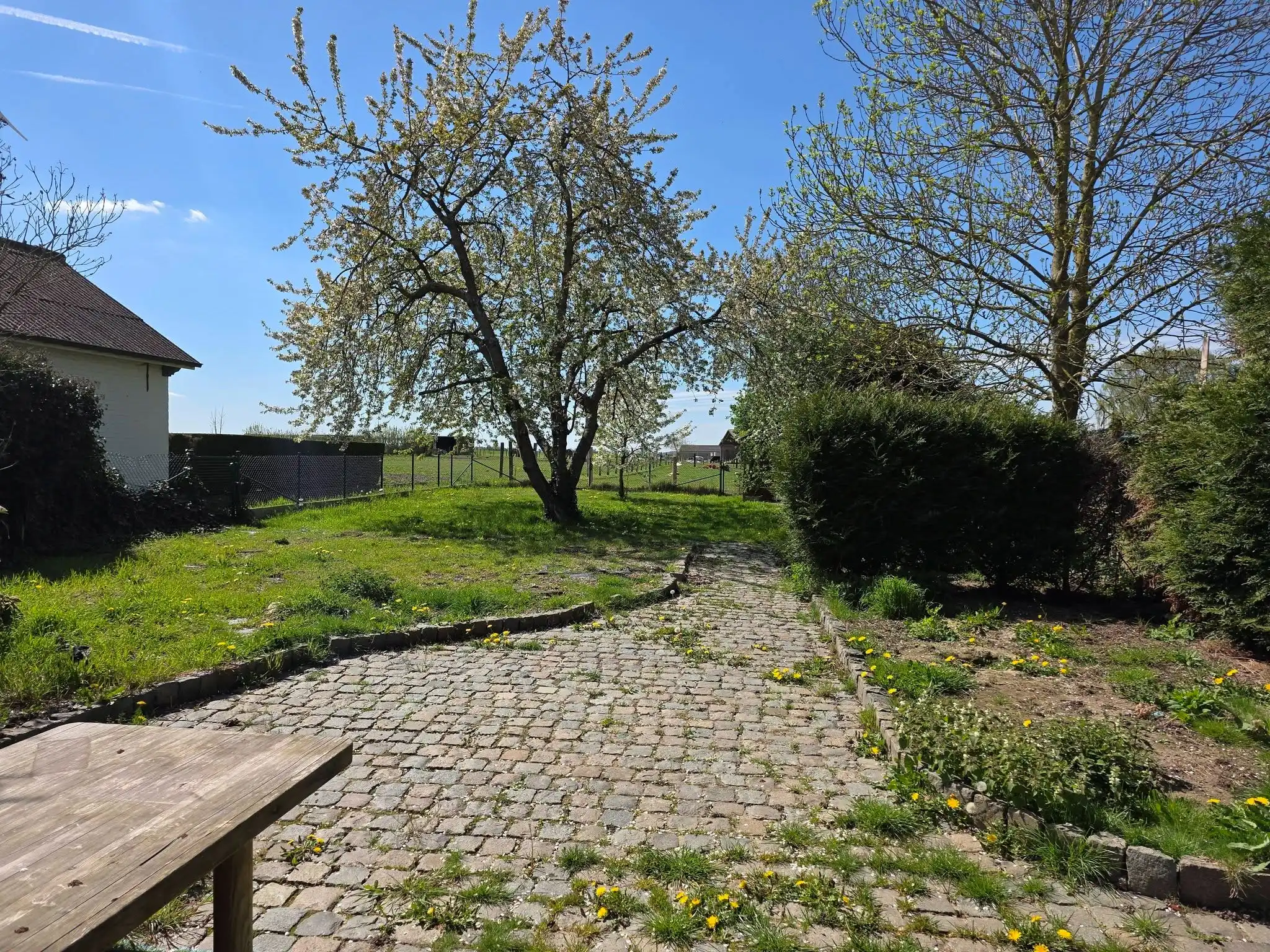 Renovatieproject...en wat voor eentje... foto 28