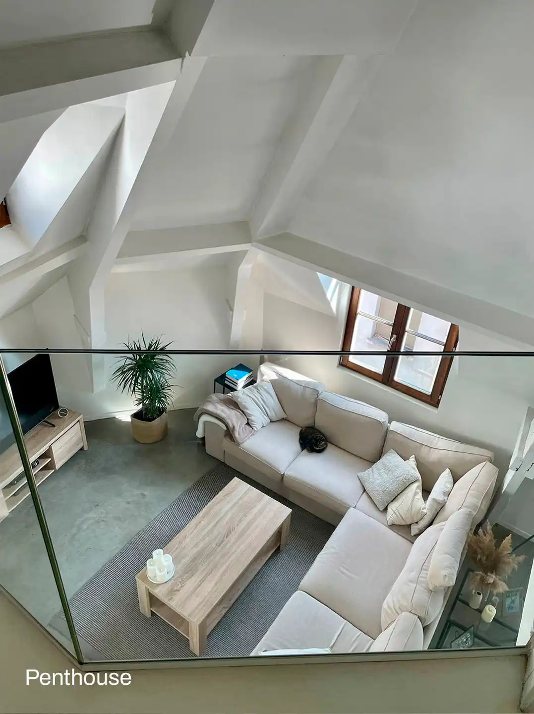 Opbrengsteigendom met 8 units in centrum Antwerpen foto 5