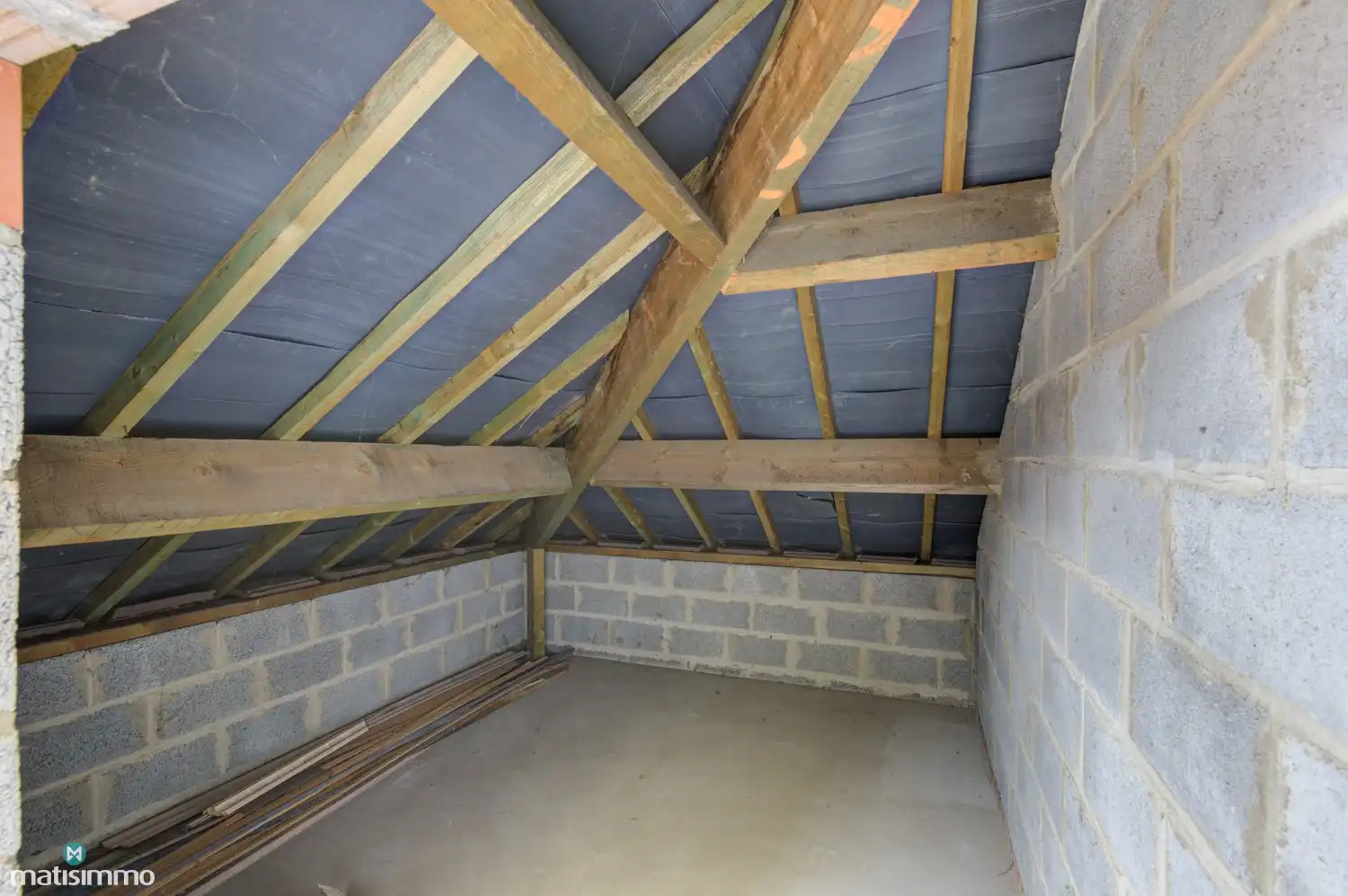 MEERSGEZINSWONING (2 APP.) MET 2 GARAGES, KELDER, ZOLDER EN RUIME TUIN IN MUNSTERBILZEN foto 51