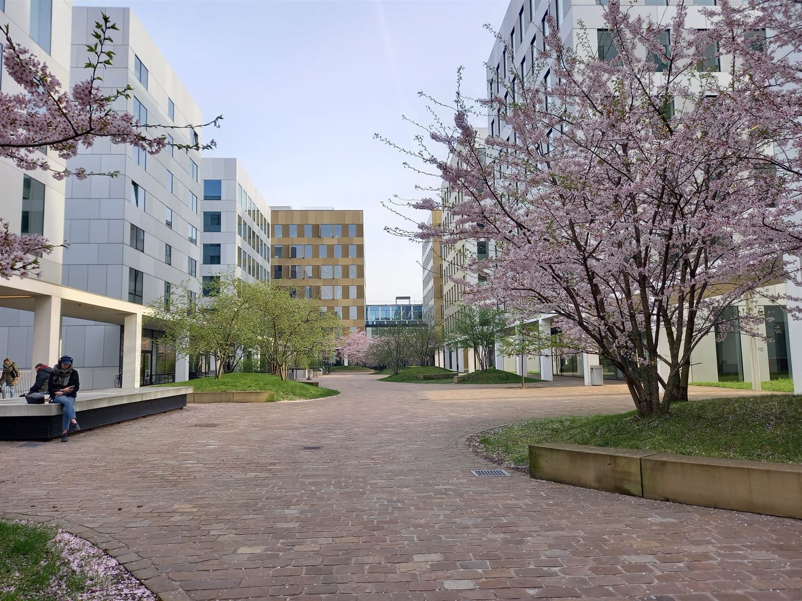 Kantoor te huur Borsbeeksebrug 22-36 - 2600 BERCHEM