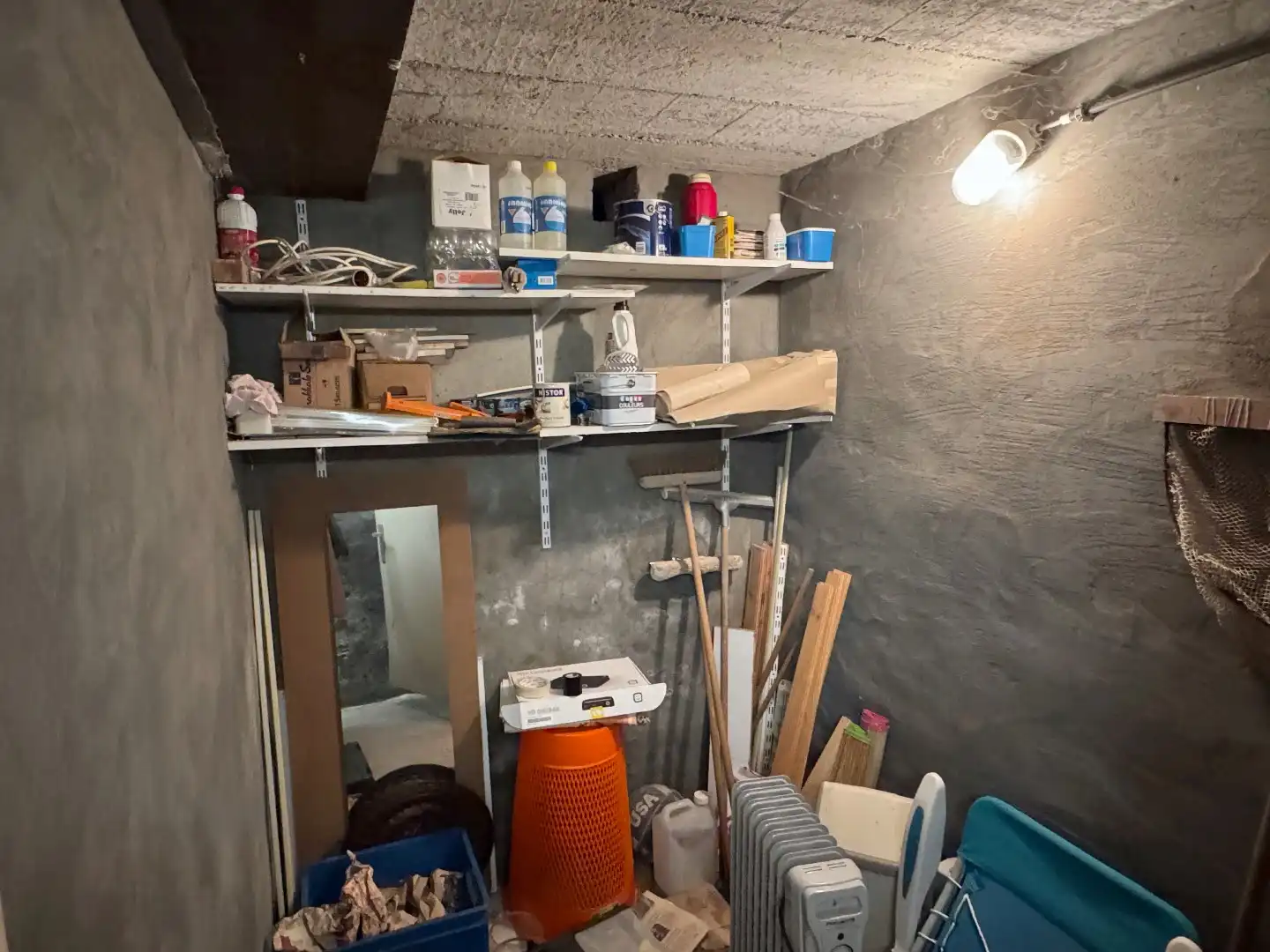 Neptunus 0201 + K2 foto 17