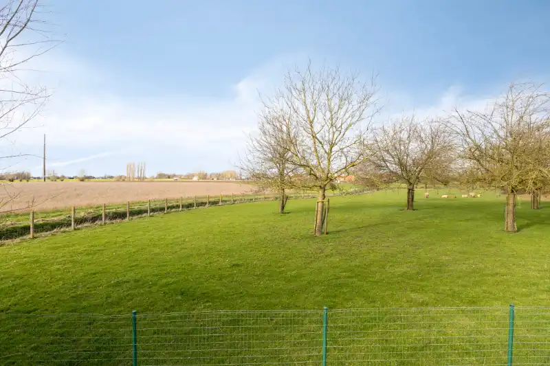 Bouwgrond in Mullem met mogelijkheid tot sloop & heropbouw aan 6% btw foto 9