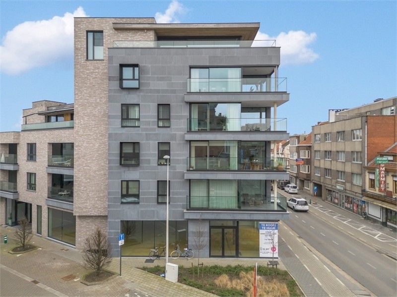 UNIEK CASCO HANDELSPAND VAN 196M² OP EEN TOPLOCATIE IN HASSELT foto 4