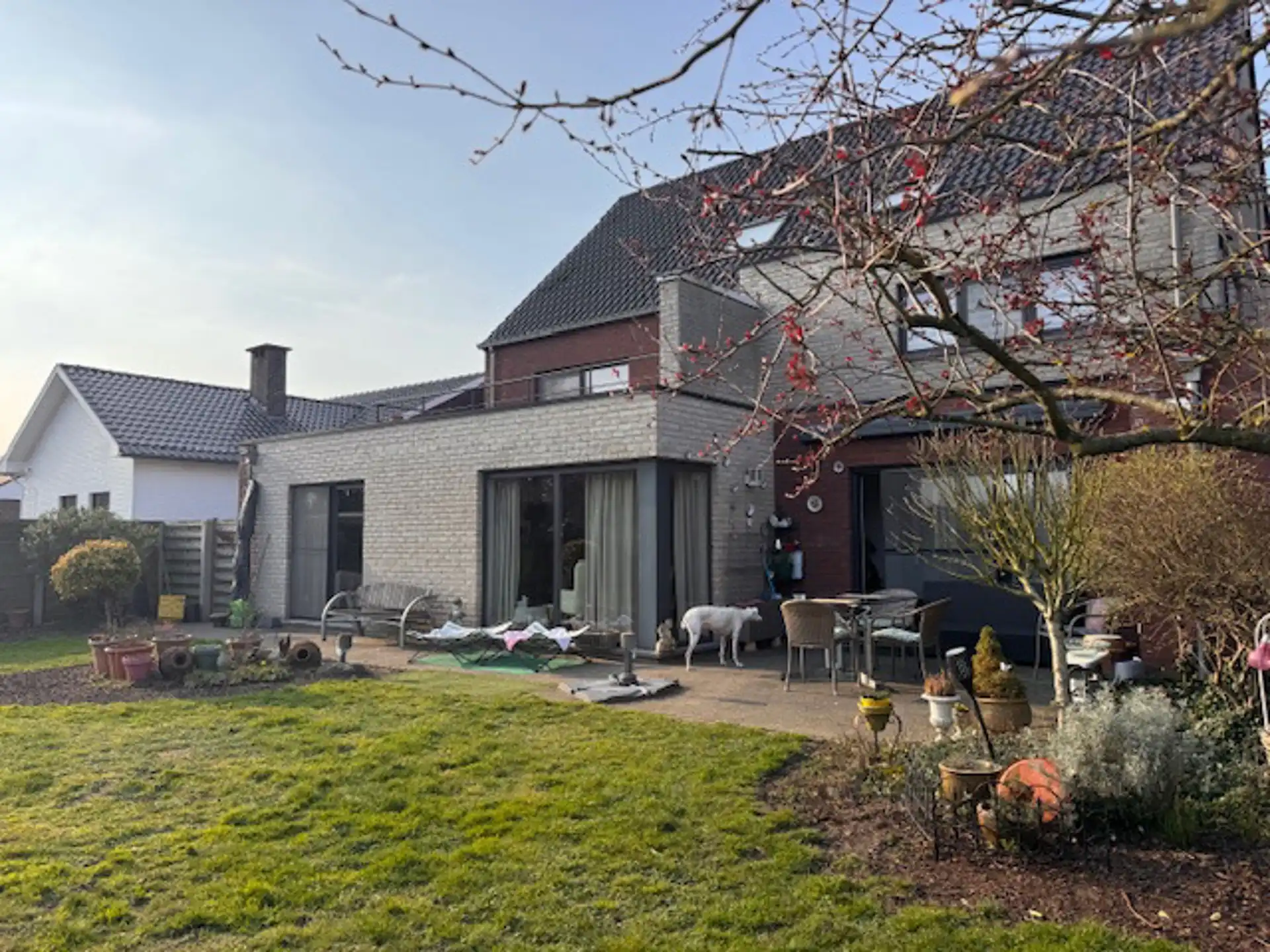 Net gelijkvloersappartement met 3 slaapkamers,garage en tuin foto 6