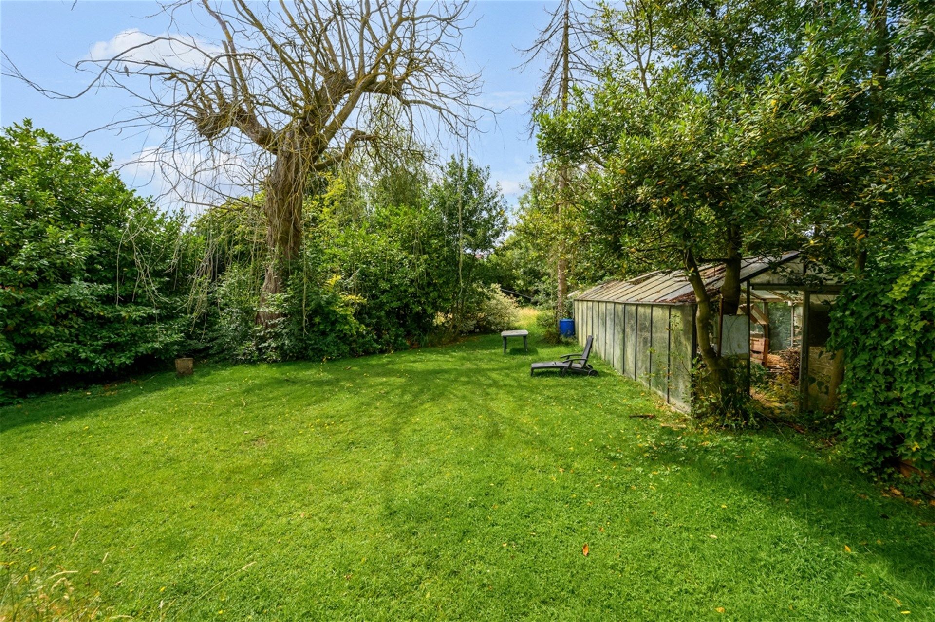 Te renoveren woning met veel potentieel op perceel van 1443m² foto 6