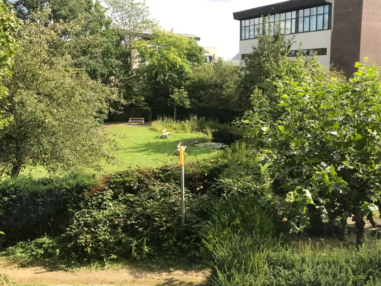 215m² kantoorruimte foto 5