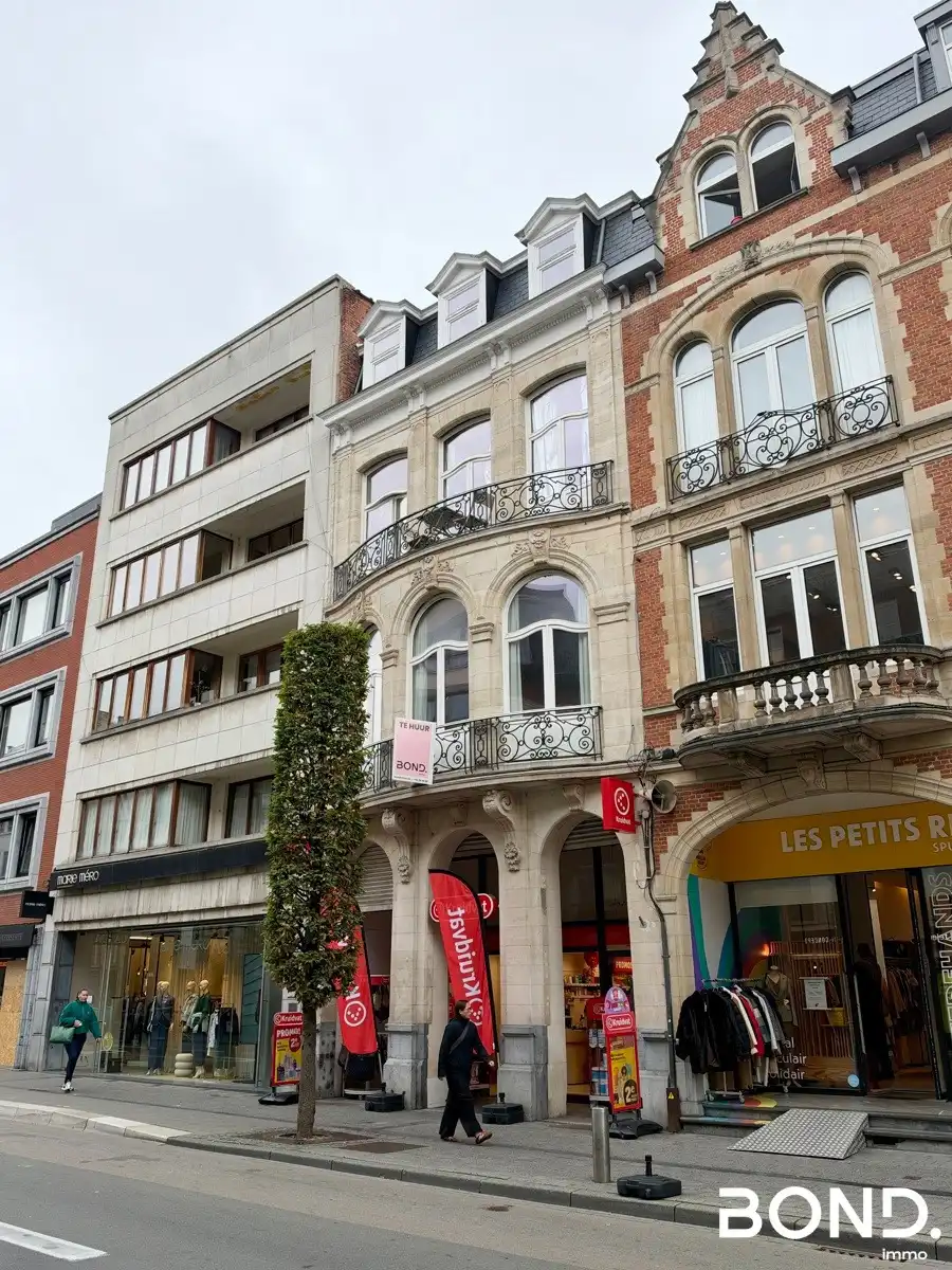 Ruim 1-slaapkamer appartement te huur in het hart van Leuven foto 10