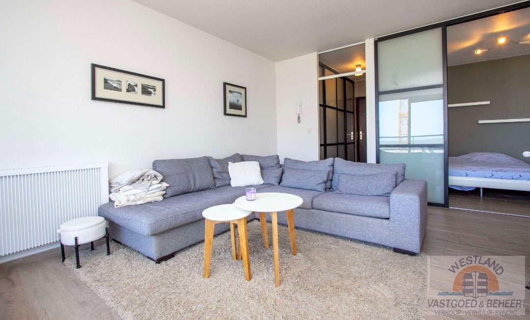 Instapklaar appartement met 1 slaapkamer en slaaphoek te koop in hartje Nieuwpoort-Bad foto 2