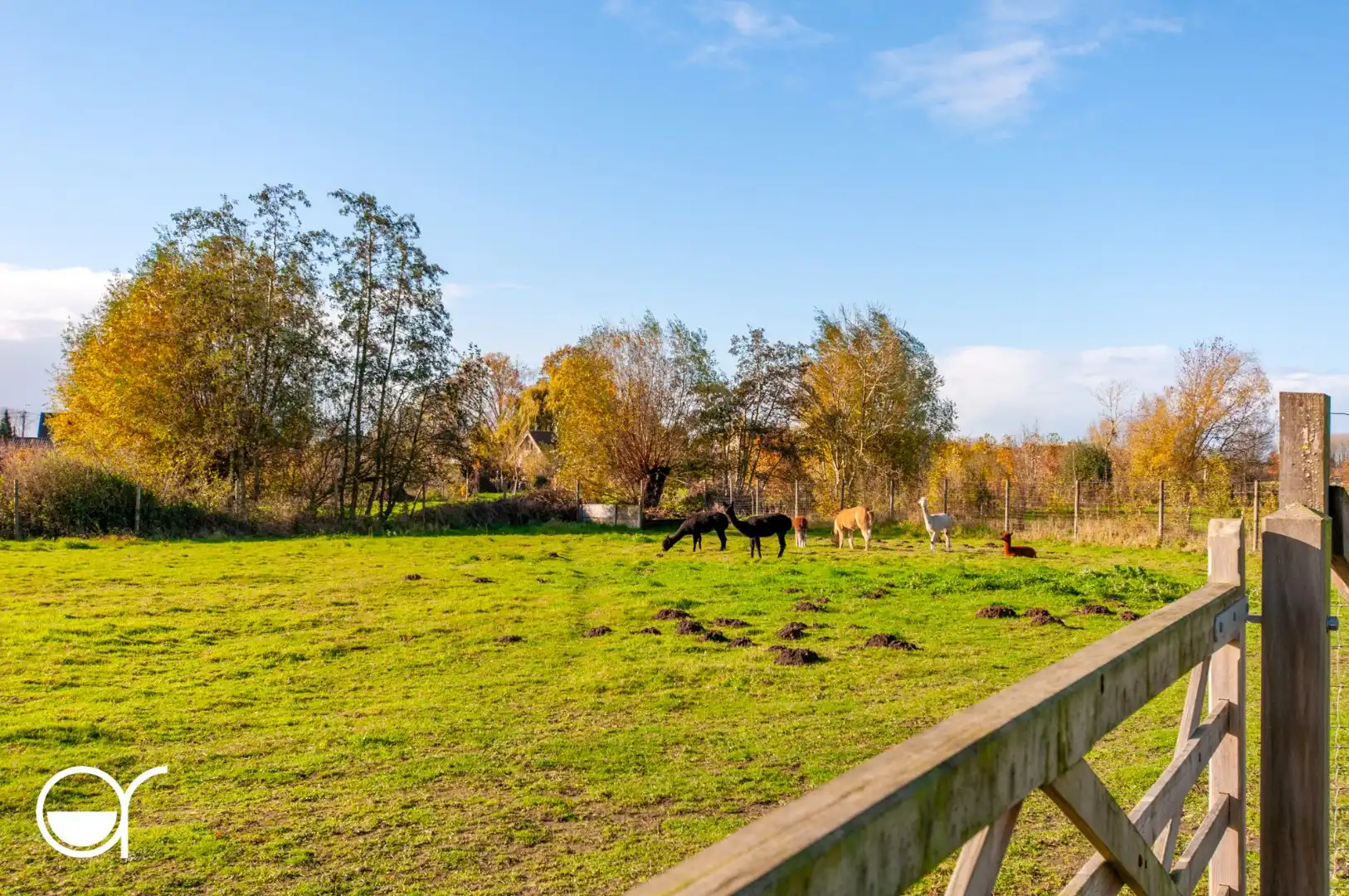 Unieke eigendom op slechts 3 min rijden van de afrit Nevele foto 29