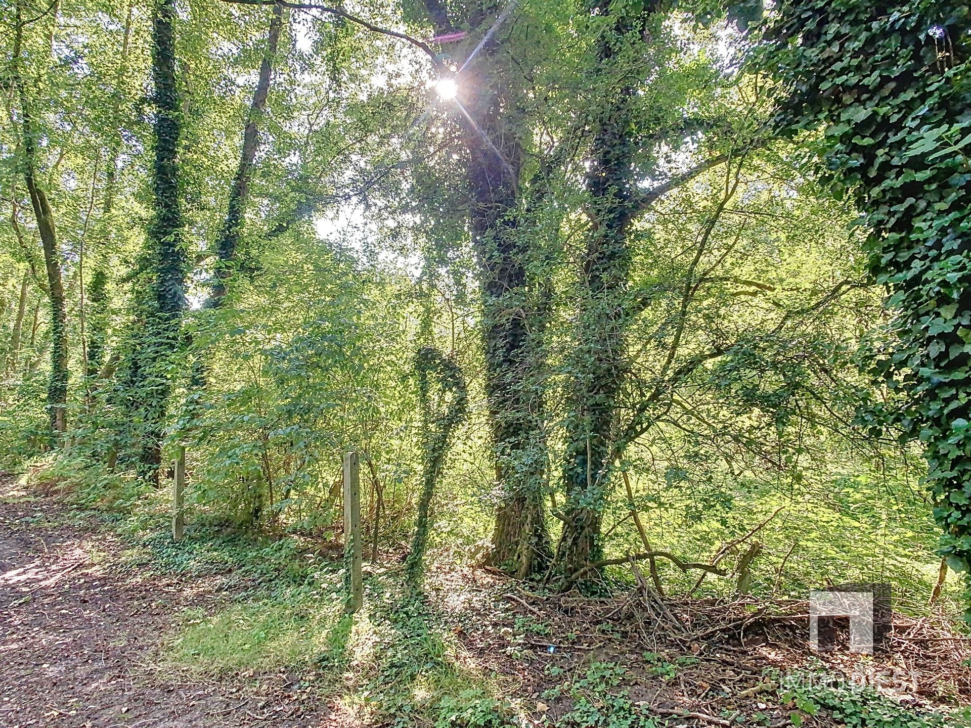 Grond met een oppervlakte van 79a 45ca - natuurgebied foto 6