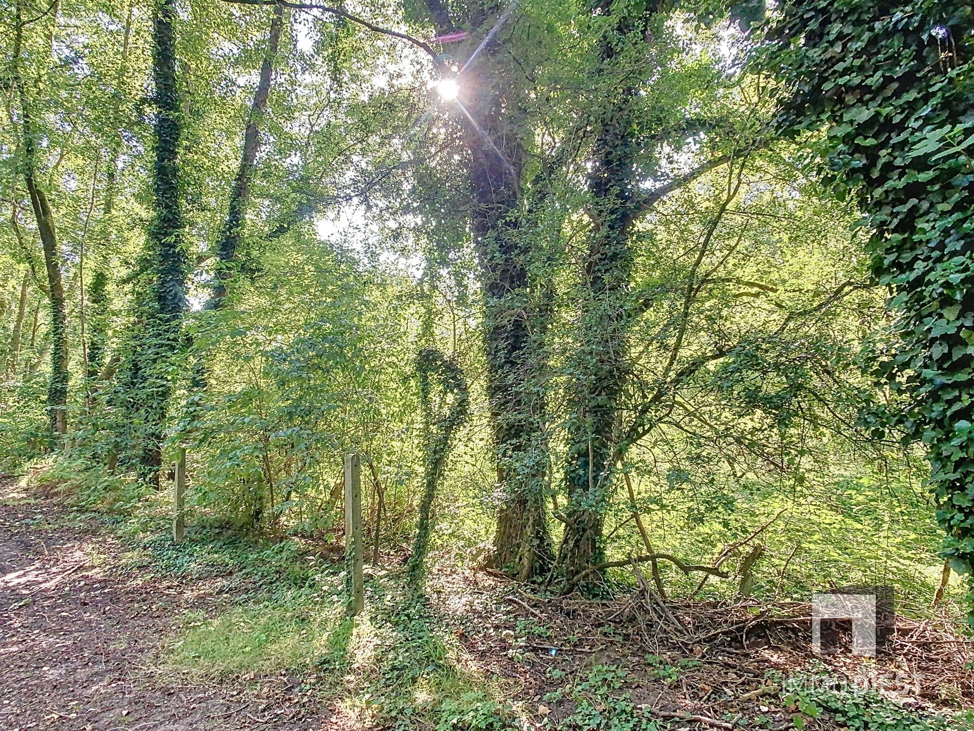 Grond met een oppervlakte van 79a 45ca - natuurgebied foto 6