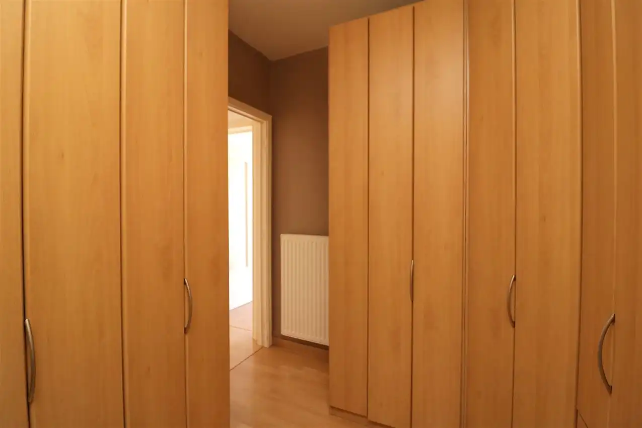 charmant, ruim, mogelijkheid beroep of kangoeroe foto 20