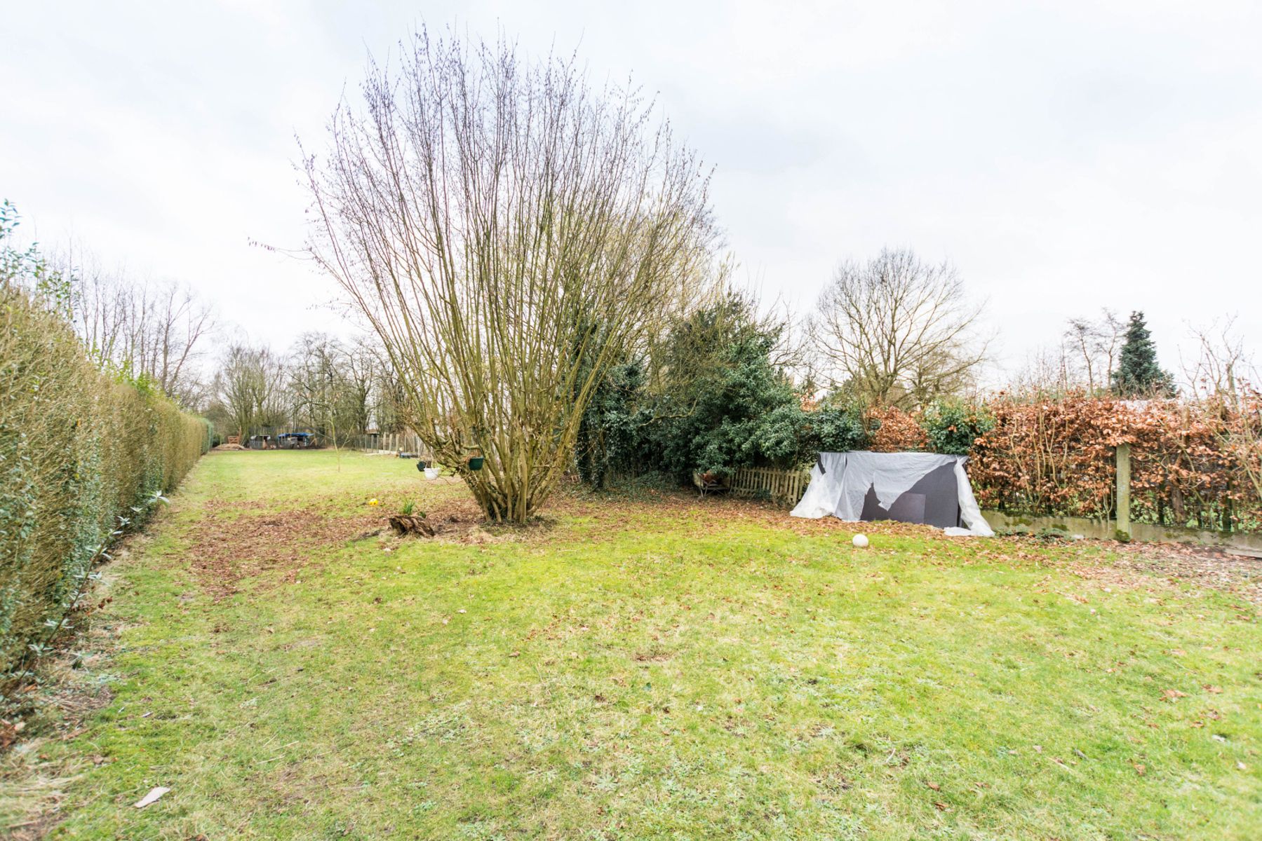 Opbrengsteigendom met 3 appartementen, 3 garages, tuin... foto 5