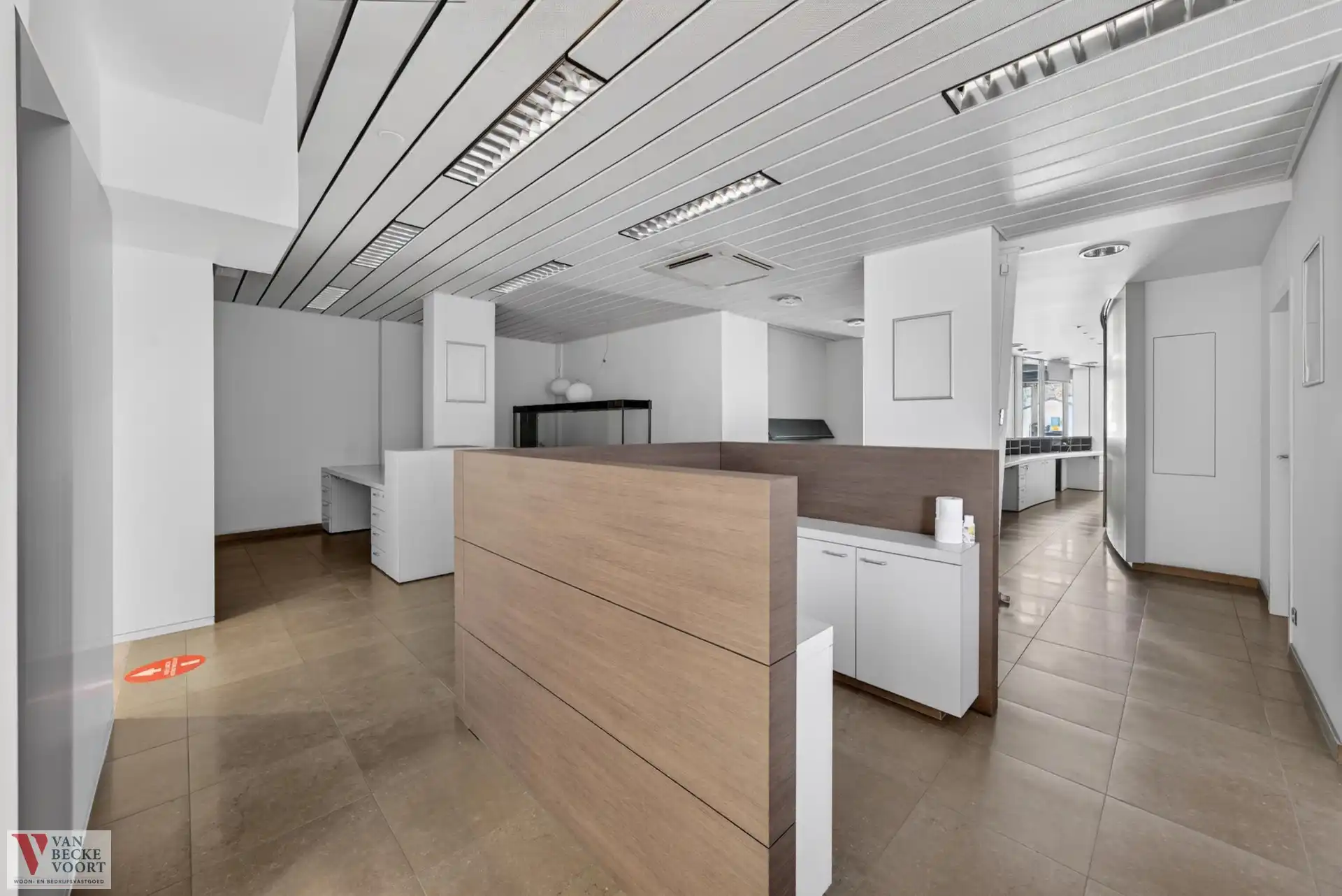 Handelsgelijkvloers 217m² + 6 autostandplaatsen foto 4