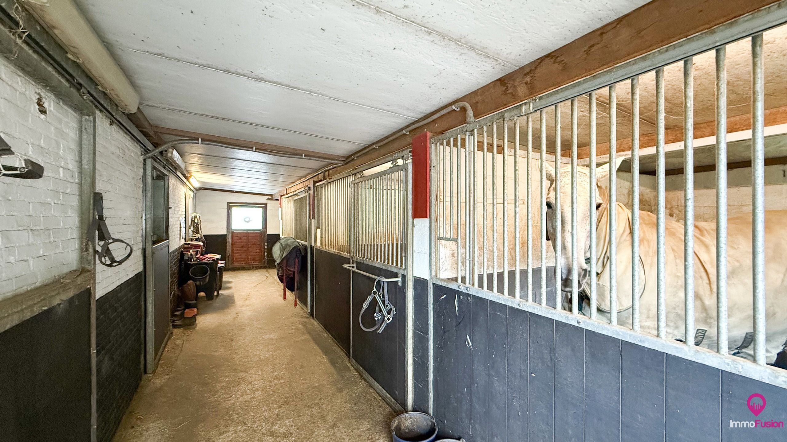 Idyllische woning met 2 slaapkamers, weide en stallen! foto 25