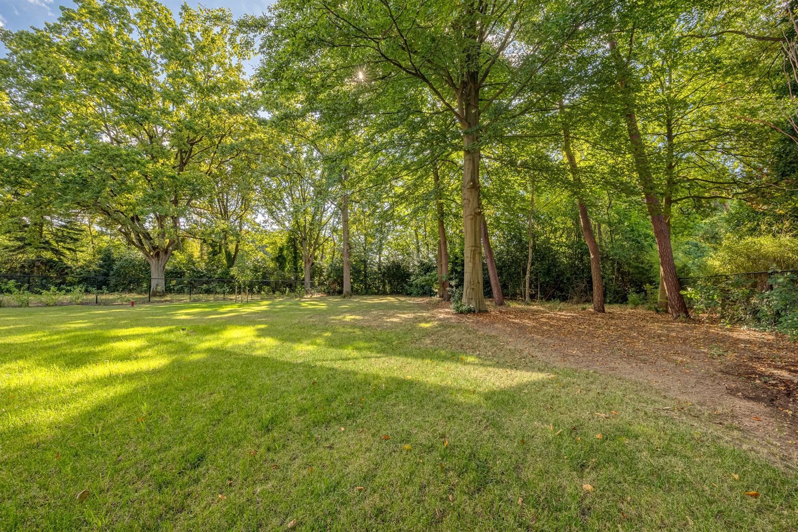 De high-end nieuwe oude Belg foto 5