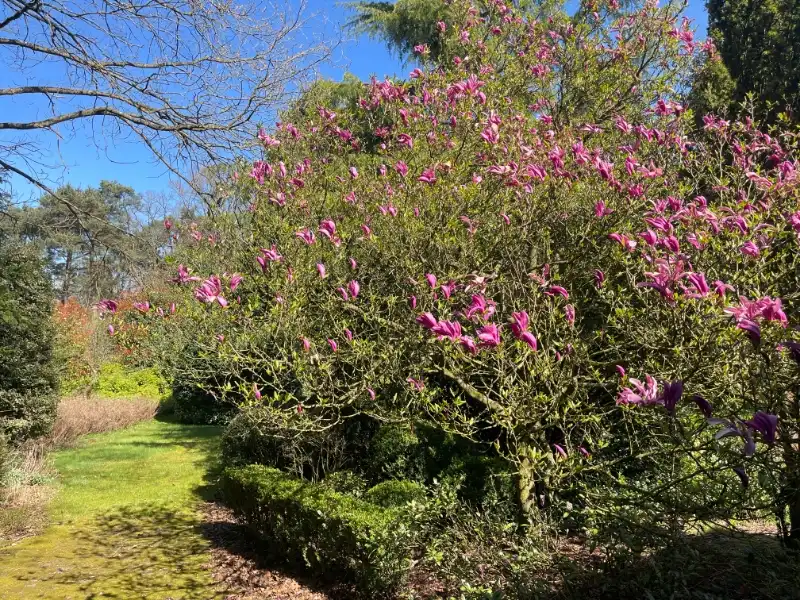 Villabouwgrond te koop – Lage Kaart 112 – 1.853 m² – ca. 30 m breed foto 5